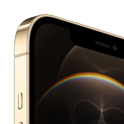 Apple iPhone 12 Pro Max 128Gb Gold (Золотой) EU в Mobile Butik