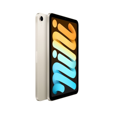 Apple iPad mini (2021) 64Gb Wi-Fi Silver в Mobile Butik