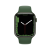 Смарт-часы Apple Watch S7 45mm Green Aluminum Case with Green Sport Band (MKN73) RU в Mobile Butik