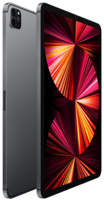 Apple iPad Pro 11 (2021) 256Gb Wi-Fi Space Gray RU в Mobile Butik